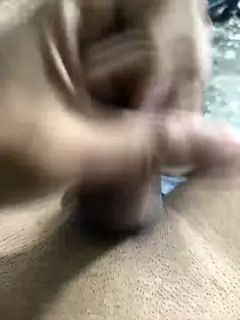 skasiffffn Webbikameraesitys