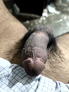 Show Webcam de skasiffff