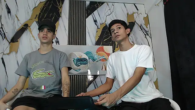 Вебкам-шоу TWINKS_BOYSX