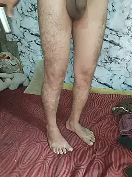 Show webcam de DESHICPL69