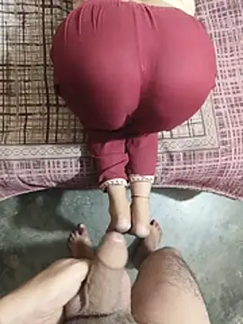 DESHICPL69n Webbikameraesitys