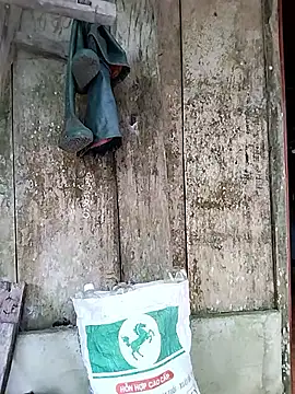 Maria-aa Live Chatraum