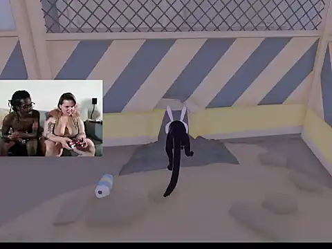 הופעת וובקאם של DerkAndValentina