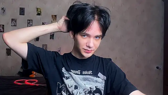Show webcam de Zombde