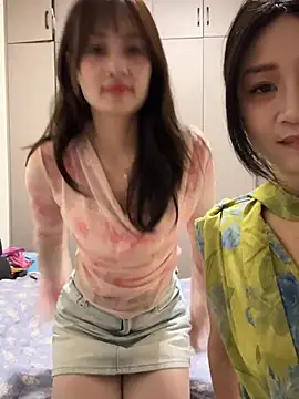 huihui_520n Webbikameraesitys