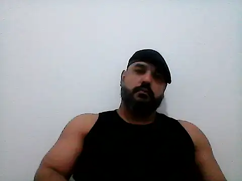 stallony Show Webcam