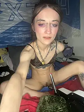 Show webcam de tinyweepixie