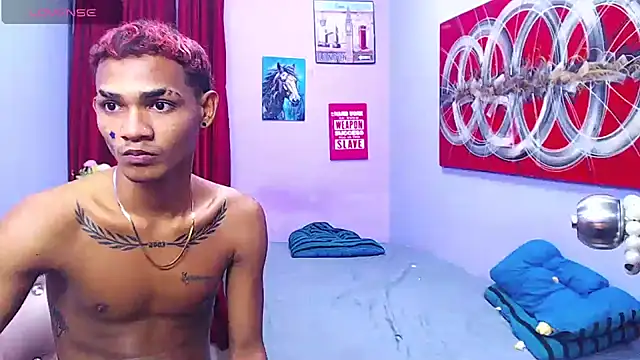 عرض كام black_twinks