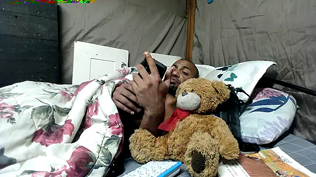 Camodick's Webcam Show