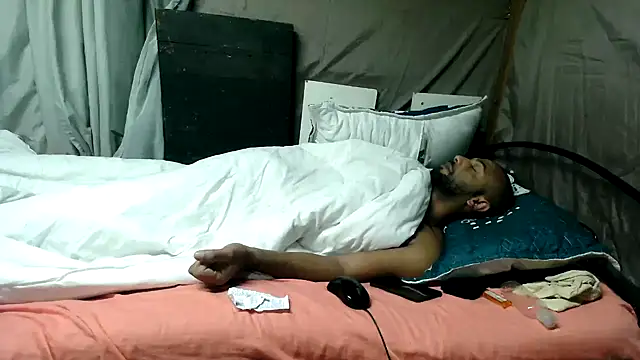 Camodick 网络视讯表演