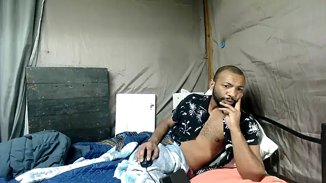 Camodick Webcam-Show