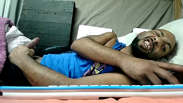 Show de webcam de Camodick