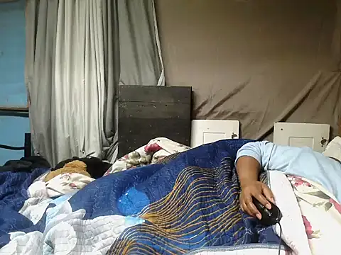 Camodick's Webcam Show
