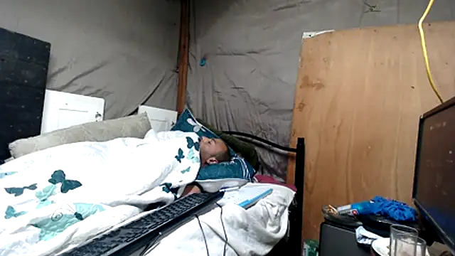 Camodick webcam show