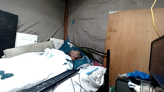 Camodick webcam show