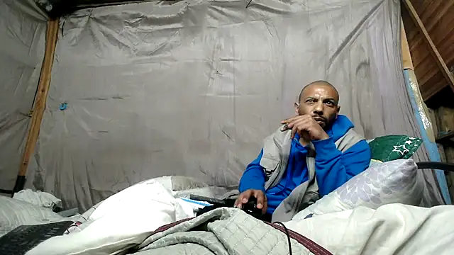 Camodick 网络视讯表演