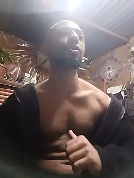 Camodick 网络视讯表演