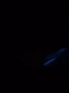 Camodickのウェブカメラショー