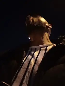 Camodick 网络视讯表演