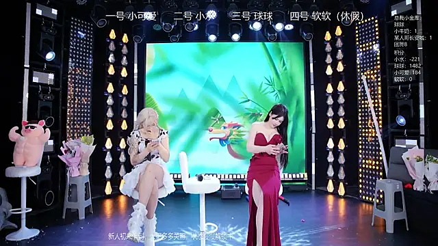 BTC-01のウェブカメラショー