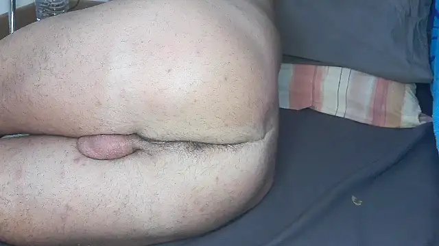 Show Webcam de Analvision26