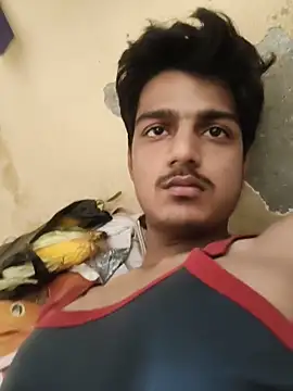 your_shezada Show Webcam