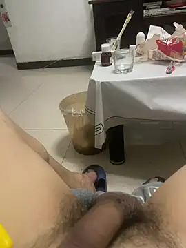 htp-44 Pertunjukan Webcam