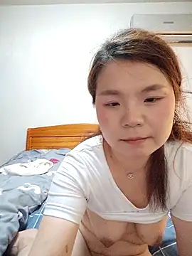 WJ200202 网络视讯表演