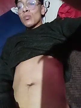 AlexxEnginen Webbikameraesitys