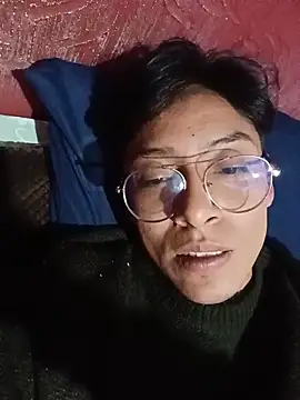 AlexxEngine – webcam-show
