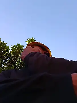 Nicebigcock39 웹캠 쇼