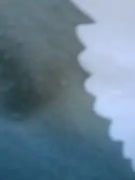 عرض كام Nicebigcock39