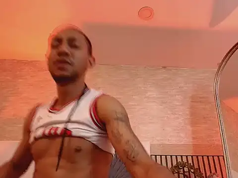 Milan_coopersn Webbikameraesitys