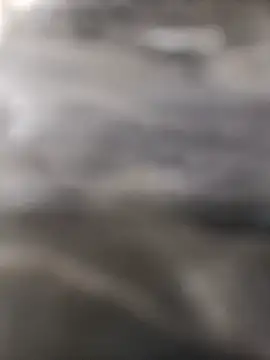 BlackkCrabのウェブカメラショー