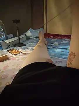 -Tara-a Show Webcam