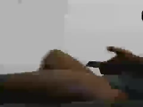 عرض كام B-B-C-8