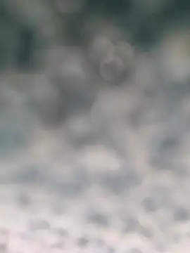 B-B-C-8 Show in webcam