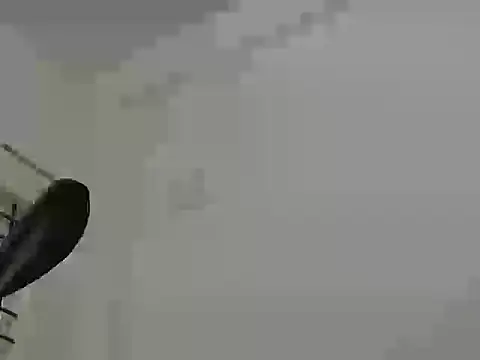 B-B-C-8 Show in webcam