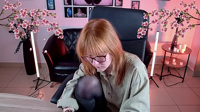 Show Webcam de lanafitch