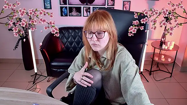 Show webcam de lanafitch