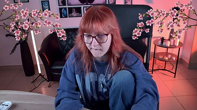 Show Webcam de lanafitch