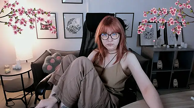 Show Webcam de lanafitch