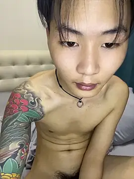 Show de KKX808 na webcam