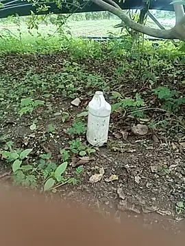 nilu_5633 webkamerás műsora