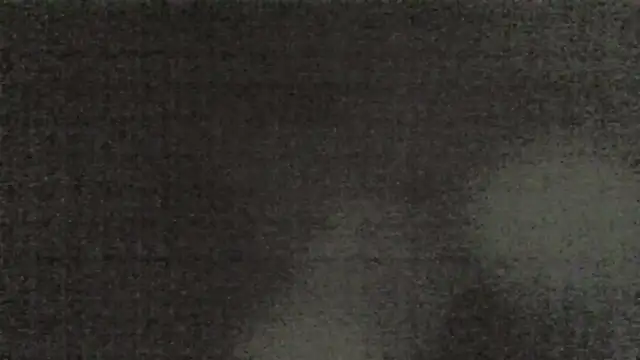 elissany7 실시간 채팅방