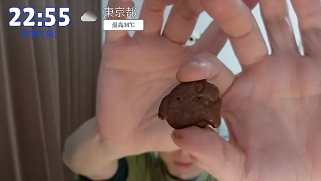 kazukota20のウェブカメラショー