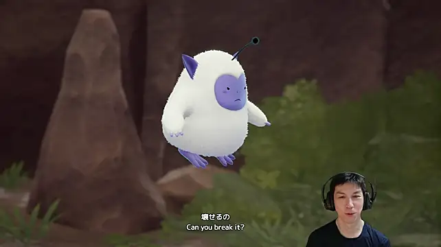 kazukota20のウェブカメラショー