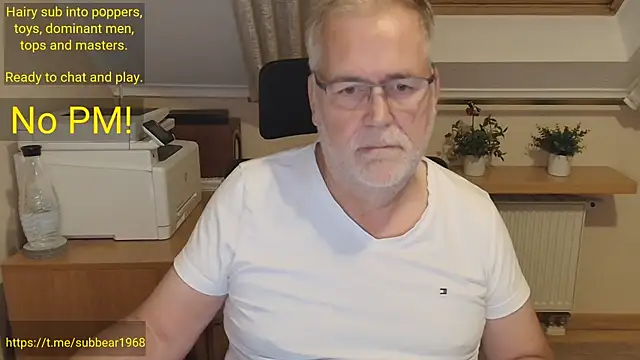 Show modela subbear1968 na web-kameri