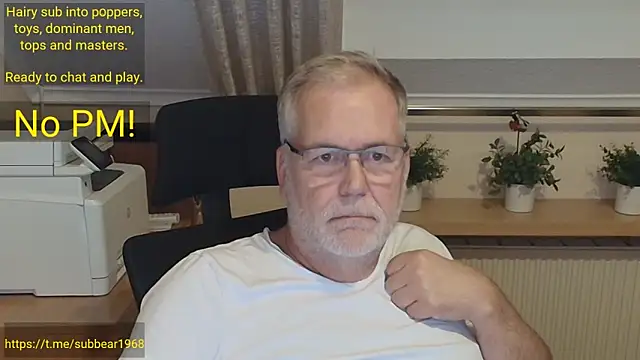 Show modela subbear1968 na web-kameri
