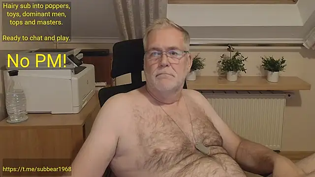 subbear1968 Chat XXX in diretta